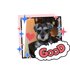 [LINEスタンプ] くるりの日々