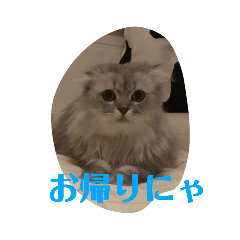 [LINEスタンプ] ししまるくんの独り言スタンプ