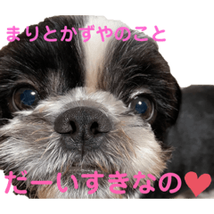 [LINEスタンプ] あんのんだいすき