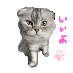 [LINEスタンプ] りゅうくんと仲間達
