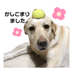 [LINEスタンプ] エミプクの日常+