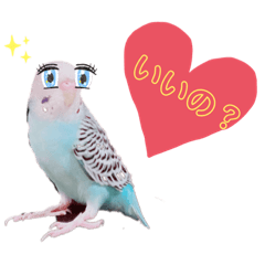 [LINEスタンプ] 足癖の悪いモナちゃんw