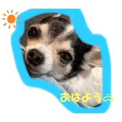 [LINEスタンプ] りさりさ'sぺっと2