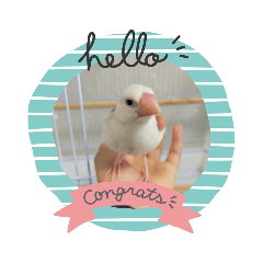 [LINEスタンプ] 文鳥のむぎちゃんですよぉ〜！2