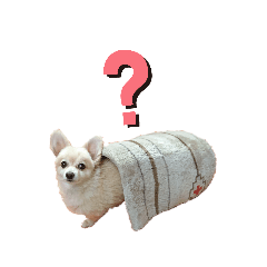 [LINEスタンプ] ぴぽちゃんとおーちゃんのほのぼのスタンプ