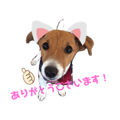 [LINEスタンプ] ジャックあずきのスタンプ