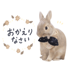 [LINEスタンプ] もぐとエマのシンプルすたんぷ