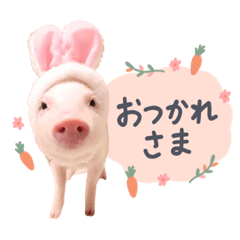 [LINEスタンプ] 犬と豚の暮らし