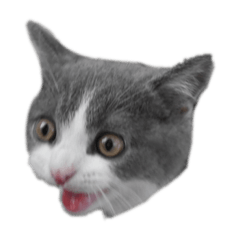 [LINEスタンプ] むいちゃんのまいにち