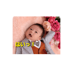 [LINEスタンプ] 新太さん