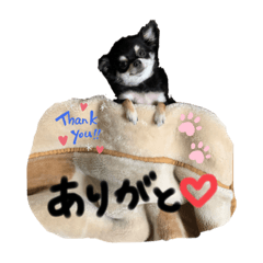 [LINEスタンプ] Kyunstanp
