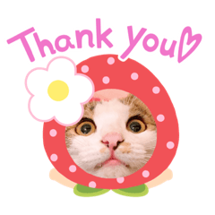 [LINEスタンプ] はなちゃんのお返事スタンプ