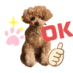 [LINEスタンプ] 愛犬うにちゃん