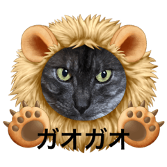 [LINEスタンプ] 玉無トラコの日常1