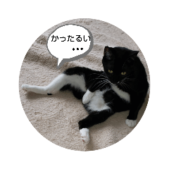 [LINEスタンプ] にゃんこにゃ！