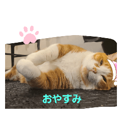 [LINEスタンプ] 動物ラブ❤️