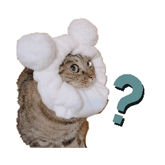 [LINEスタンプ] いやしねこさま