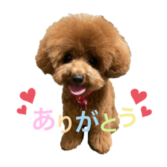 [LINEスタンプ] mocaの日常スタンプ♡