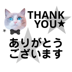 [LINEスタンプ] モフモフって正義じゃない？