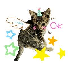 [LINEスタンプ] みらいねこ横濱