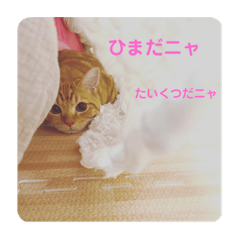 [LINEスタンプ] 我らあずもなニャ