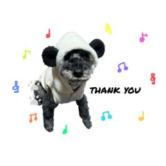 [LINEスタンプ] 老犬シュナウザー