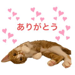[LINEスタンプ] れん58