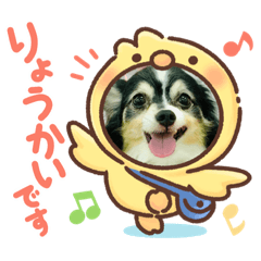 [LINEスタンプ] やまももほくそらぼくあぽ