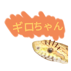 [LINEスタンプ] 蛇のキャロちゃん達のスタンプ2