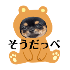 [LINEスタンプ] チワワの麦ちゃんも銚子弁