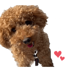 [LINEスタンプ] おびび70♡