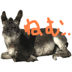 [LINEスタンプ] LOVE DONKEY