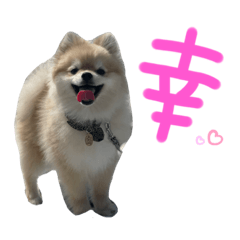 [LINEスタンプ] ぼく。うにたろう。〜喜怒哀楽編〜
