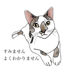 [LINEスタンプ] ビリ助スタンプ - 2