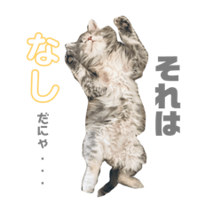 [LINEスタンプ] ぎんたのスタンプ①