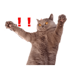 [LINEスタンプ] ルパンの気持ち2