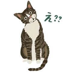 [LINEスタンプ] キジ白猫ジアンジアン