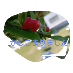 [LINEスタンプ] 丁寧に終わりたいスタンプ