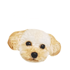 [LINEスタンプ] モコス公式スタンプ