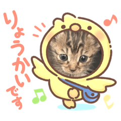 [LINEスタンプ] きなもなPart1