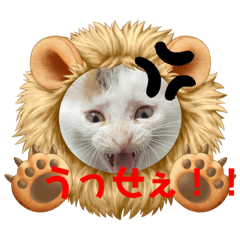 [LINEスタンプ] 凶暴天使猫 ルーシェ2