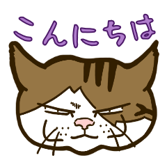 [LINEスタンプ] 猫のギズちゃん ごきげんスタンプ