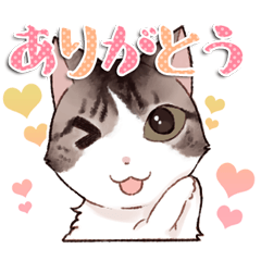 [LINEスタンプ] さばおの日常(Life)スタンプ