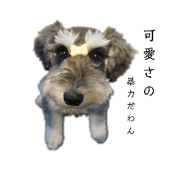 [LINEスタンプ] わんわんのらんど