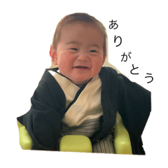 [LINEスタンプ] たいたいたいたいがー