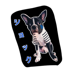[LINEスタンプ] 影千代と五右衛門