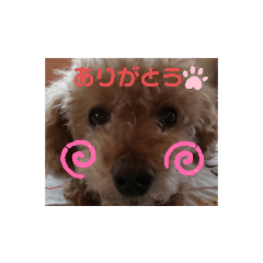 [LINEスタンプ] ぼくはジル