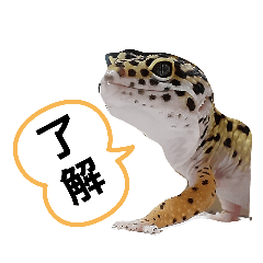 [LINEスタンプ] レオパ・ヒョウモントカゲモドキ会話