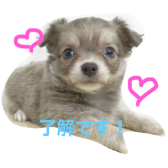 [LINEスタンプ] JERRY♡