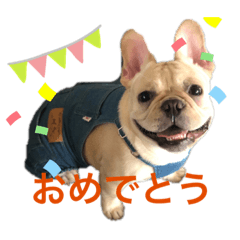 [LINEスタンプ] フレンチブルドッグ      ふうすけ